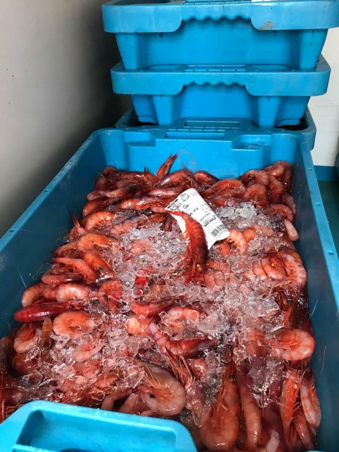 דירות קאלאפיי Casita De Pescador מראה חיצוני תמונה